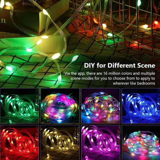 Dreamcolor Rgb Led Strip WS2812B Bluetooth